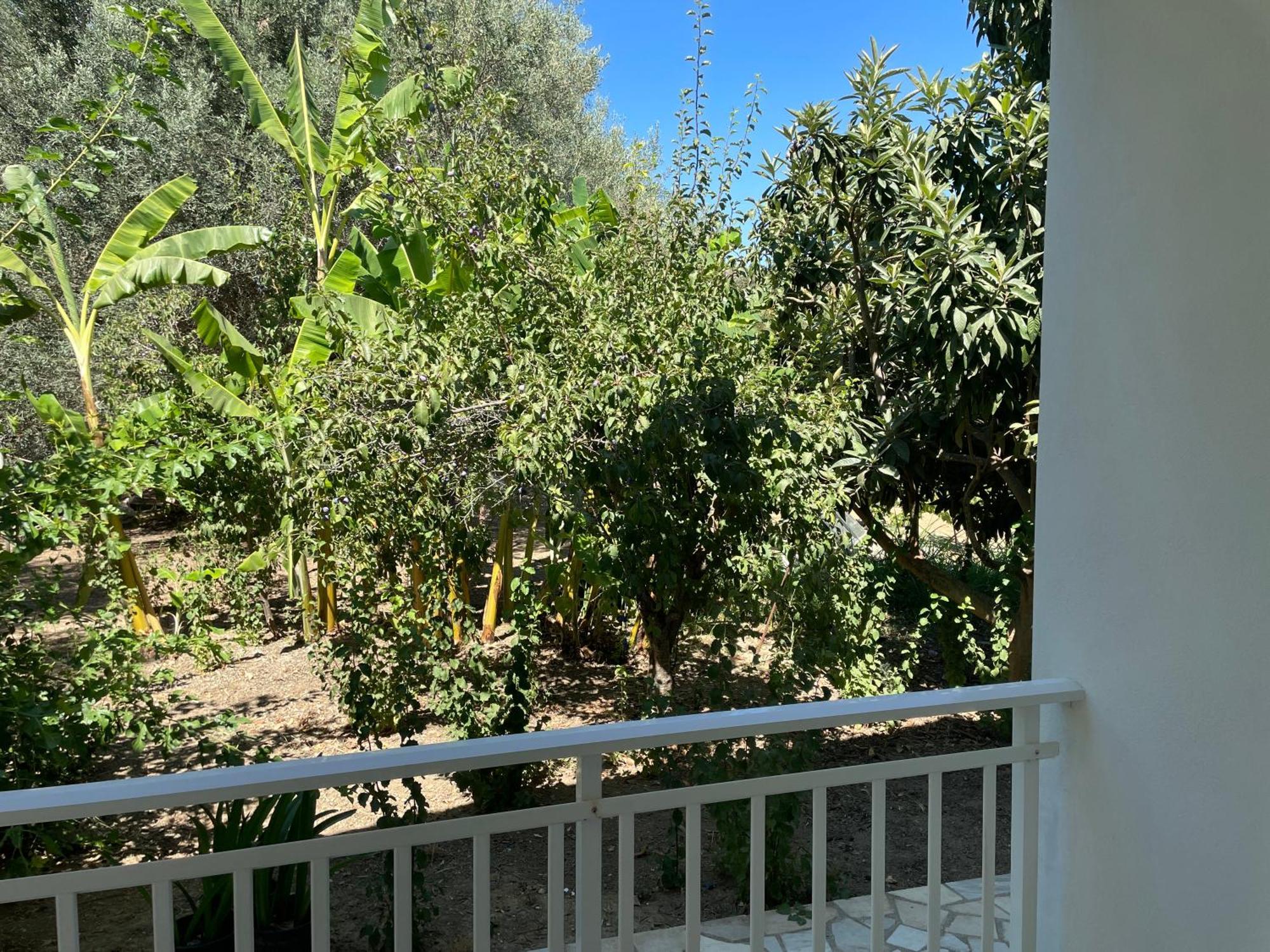 Casa Campos Apartment *